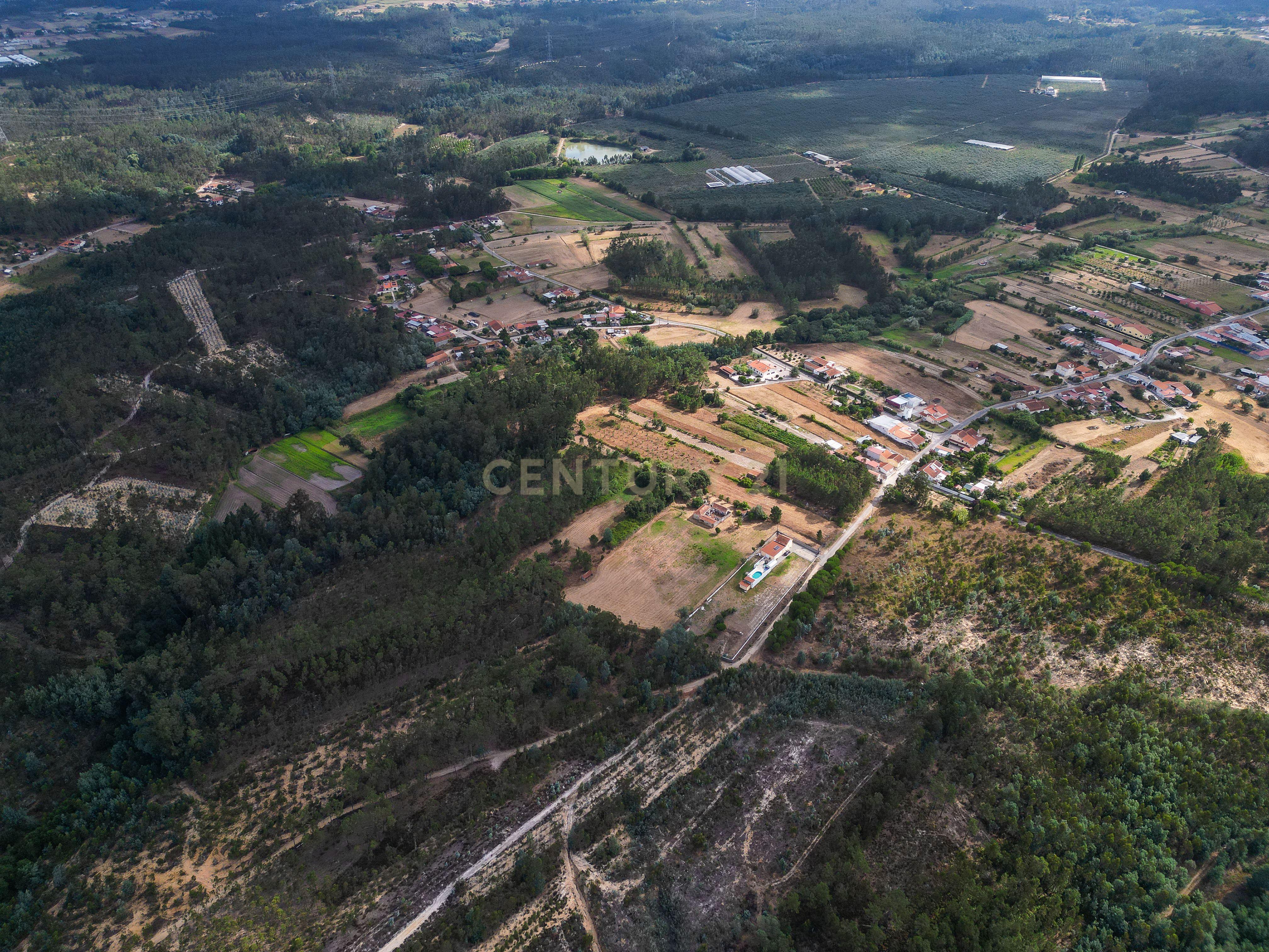 Fotografia 6 de Pinhal com 1.425 m² em Brejal – Cabeça Alta, Seixo de Gatões, Montemor-o-Velho