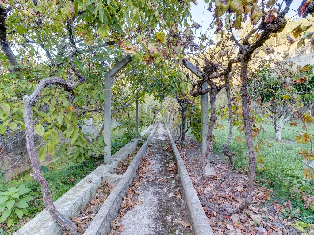 Quinta Rústica em Bucelas, com terreno de 4500m2 - Image 29