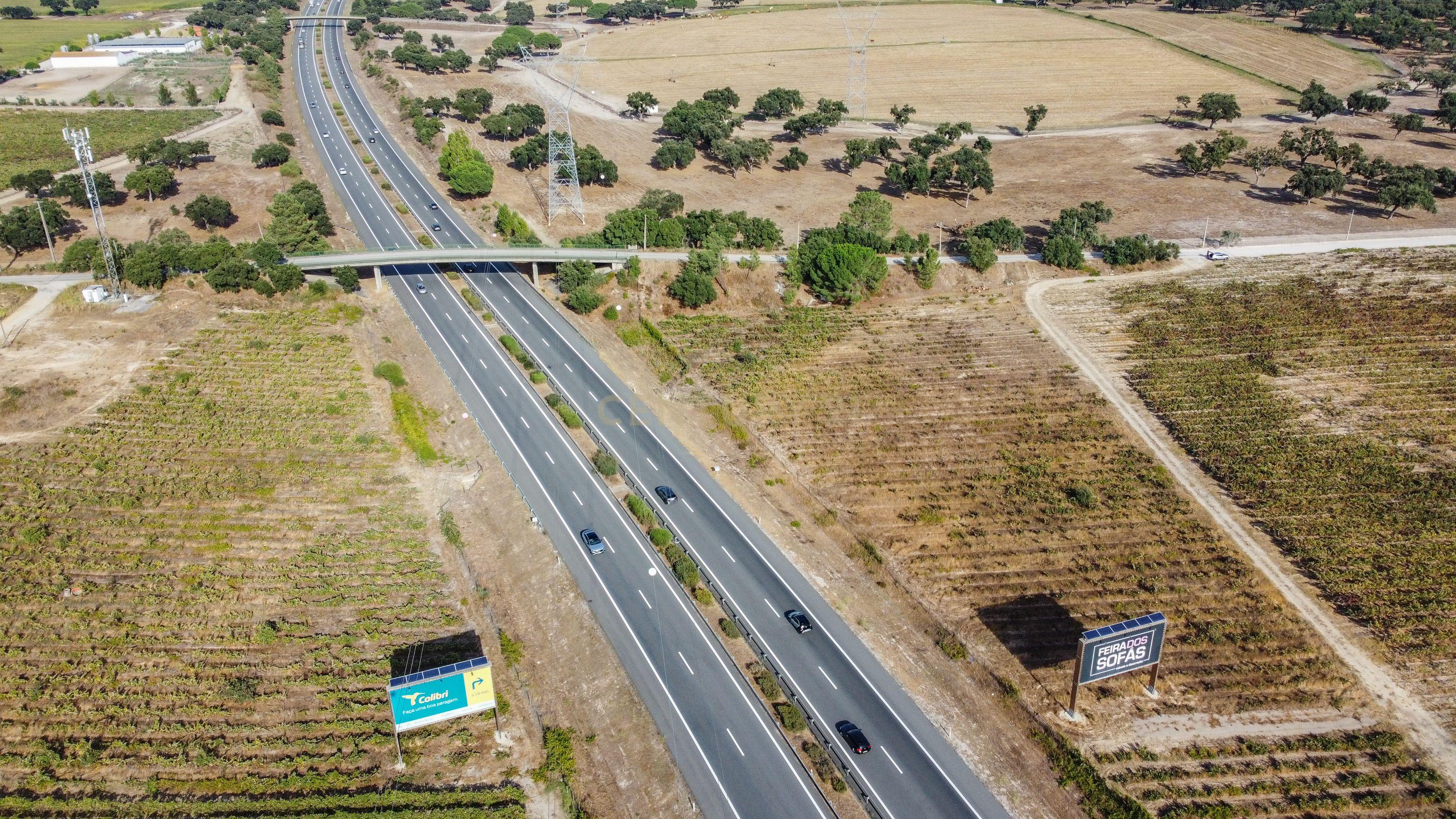 Fotografia 7 de Terreno Rústico com PIP Favorável para Construção de Moradia – Cajados, Palmela