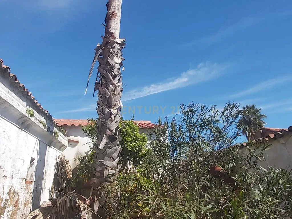 🏡 Moradia T5 para Recuperar – Baleizão (16 km de Beja) - Image 29