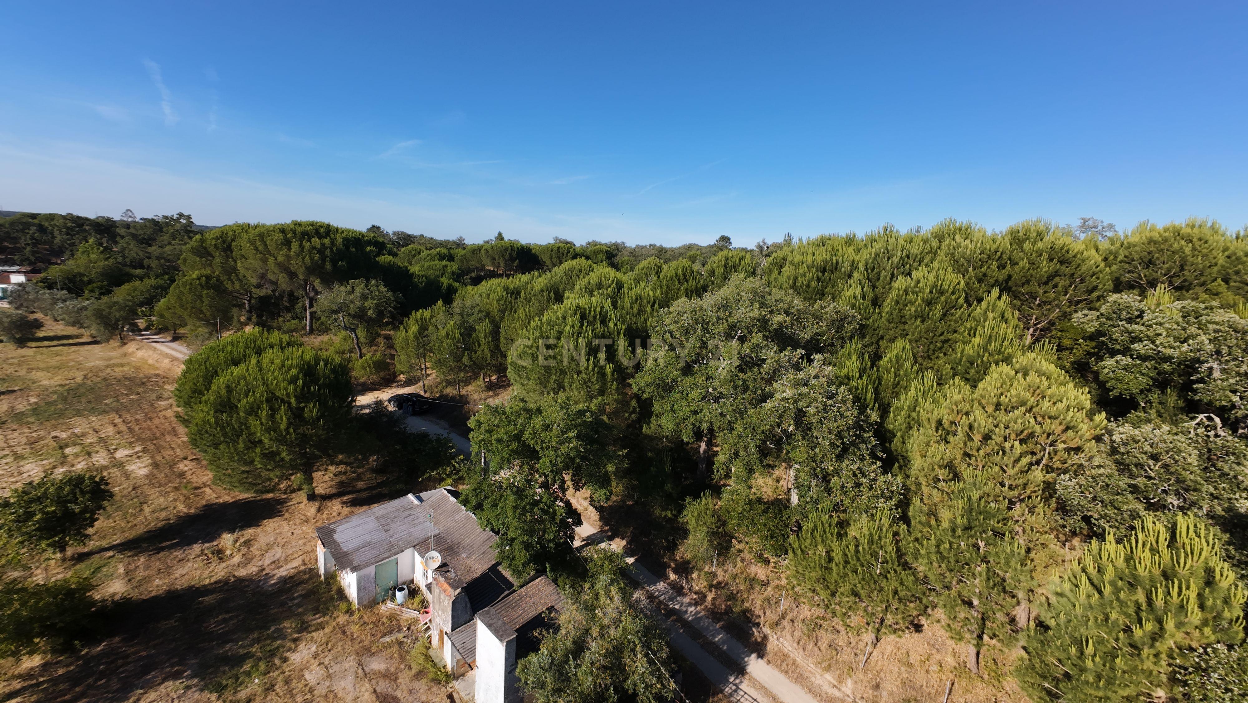 Fotografia 4 de Terreno Rústico em Foros da Boa Vista, Canha-Montijo– Natureza e Tranquilidade