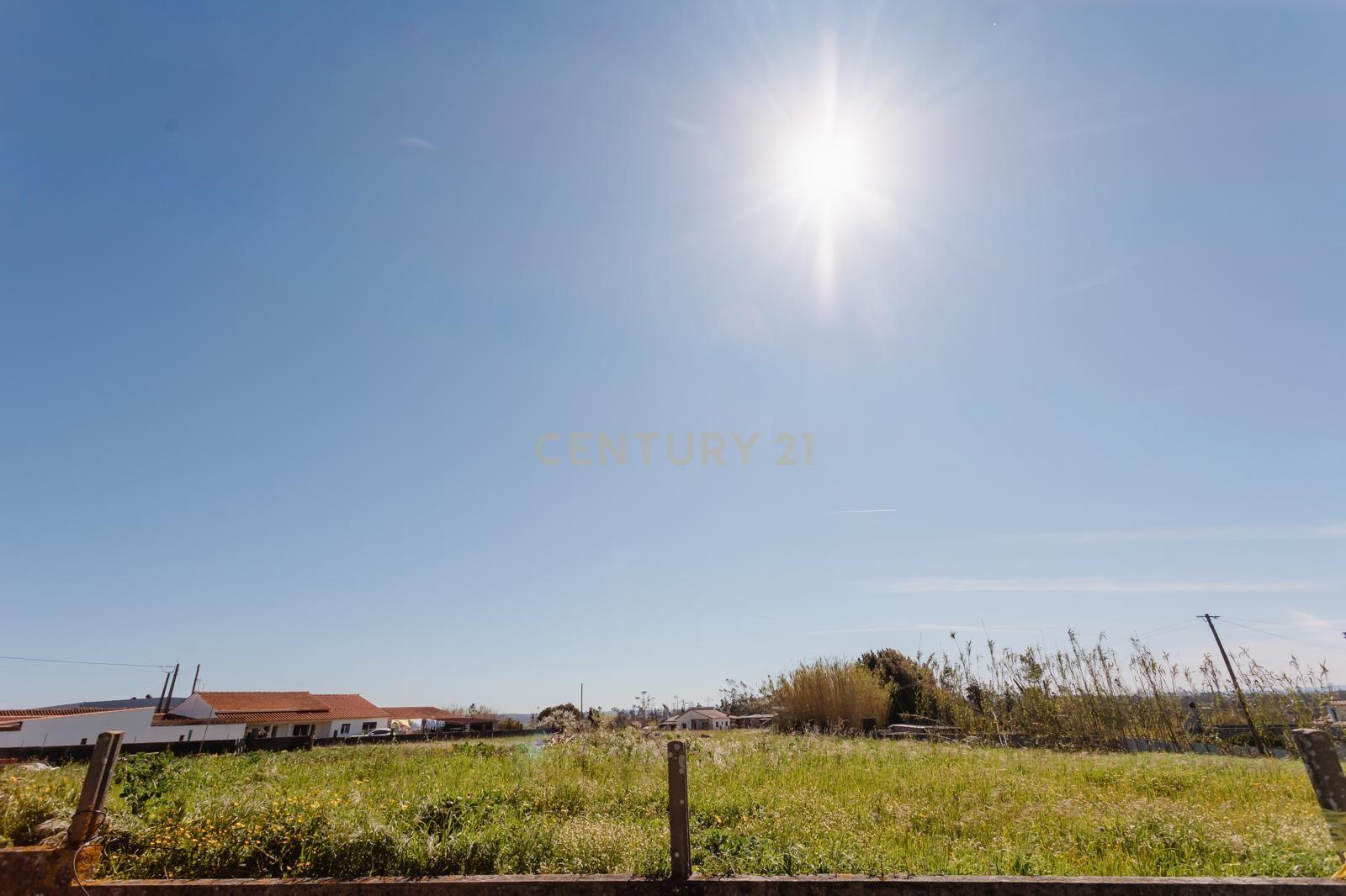 Fotografia 6 de Terreno em Monte Real, Leiria