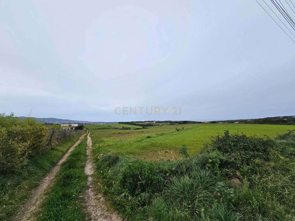 Terreno Rústico | 14160m2 | Sintra | Fontanelas | Av. Nossa Senhora da Esperança - Image 6