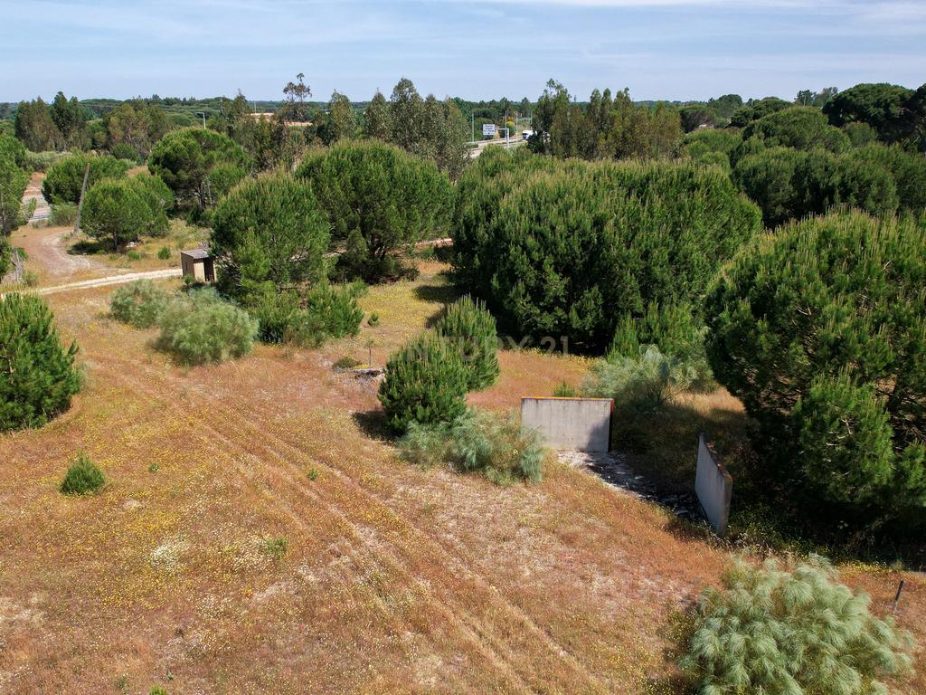Terreno Rústico c/ 22.500m2 - Sto Isidro de Pegões - Montijo - Image 5