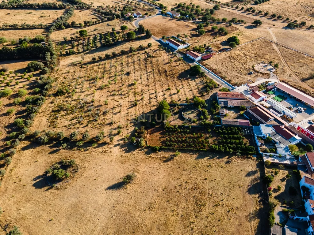 Quinta com moradia senhorial T6 e terreno de 2,49 hectares em Alcaria, Paderne, Albufeira - Image 27