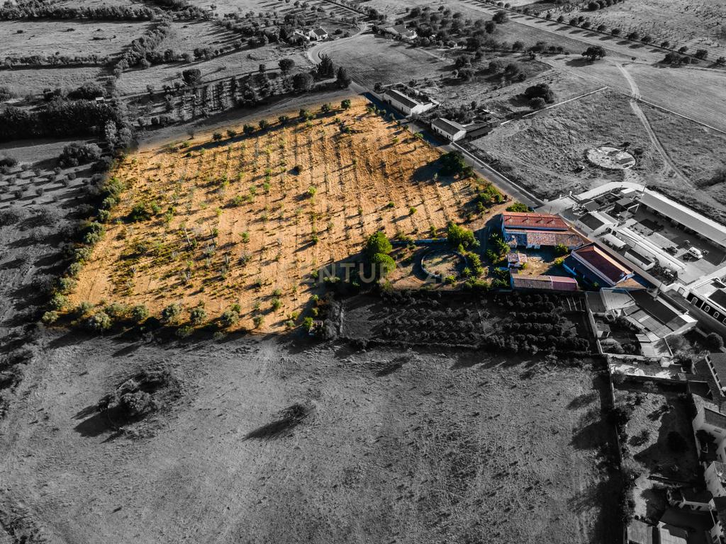 Quinta com moradia senhorial T6 e terreno de 2,49 hectares em Alcaria, Paderne, Albufeira - Image 28