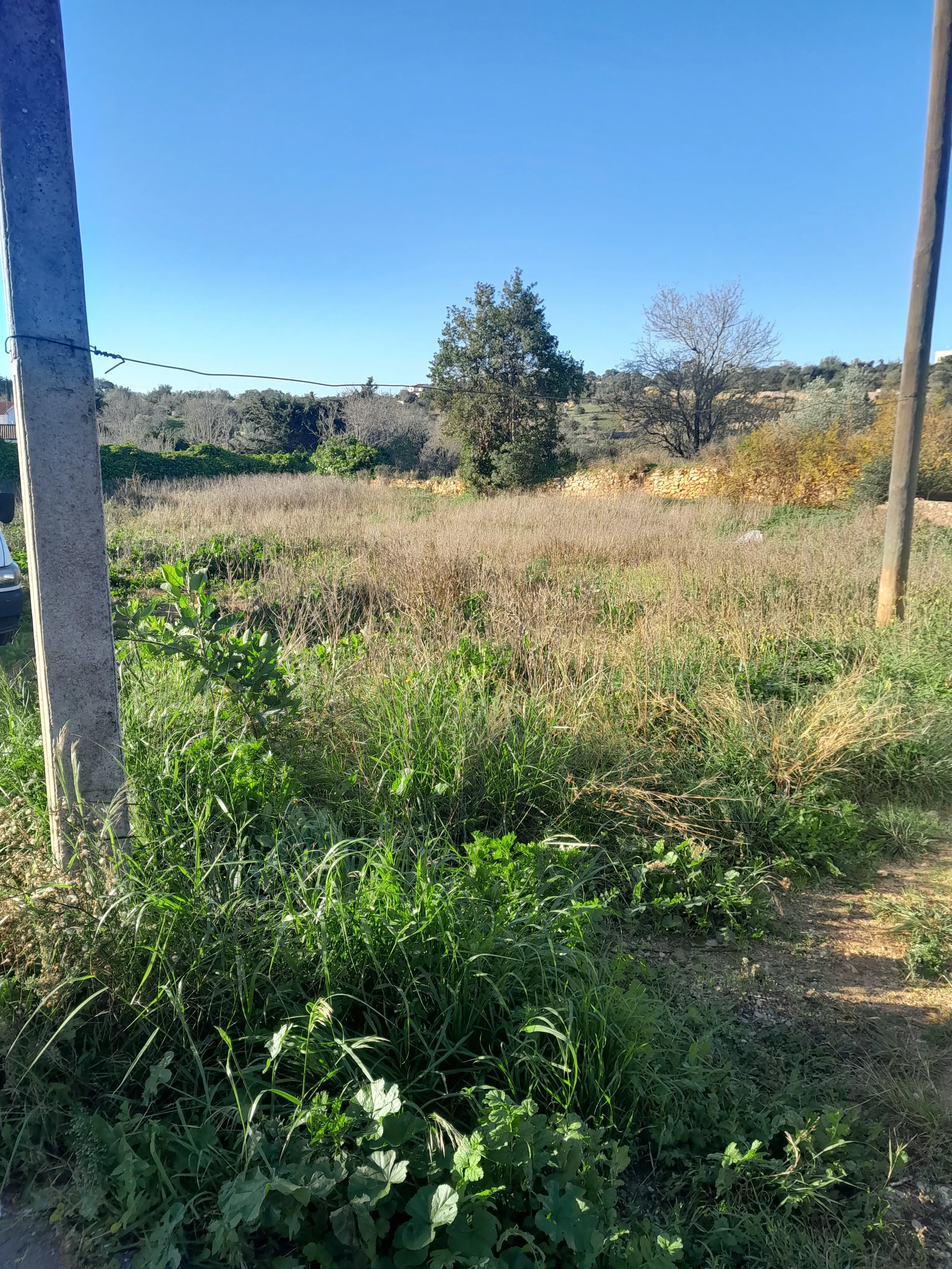 Terreno Urbano para Construção DE 480m2 - Paderne - Image 6