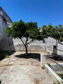 Descubra o seu novo lar no coração de Estremoz! - Image 50