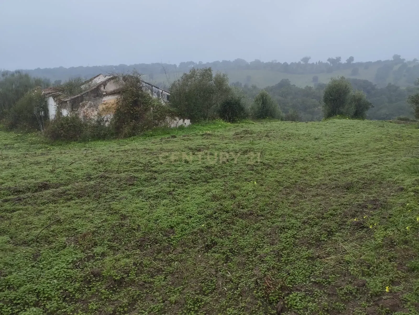 Terreno perto da Barragem de Montargil - Image 1