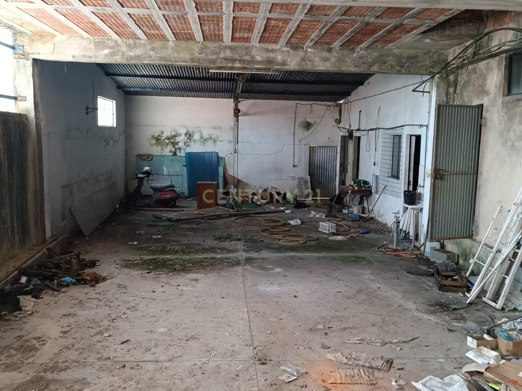 Moradia 3 quartos com armazém, num lote de terreno de 8140m2 - Benedita, Leiria - Image 29