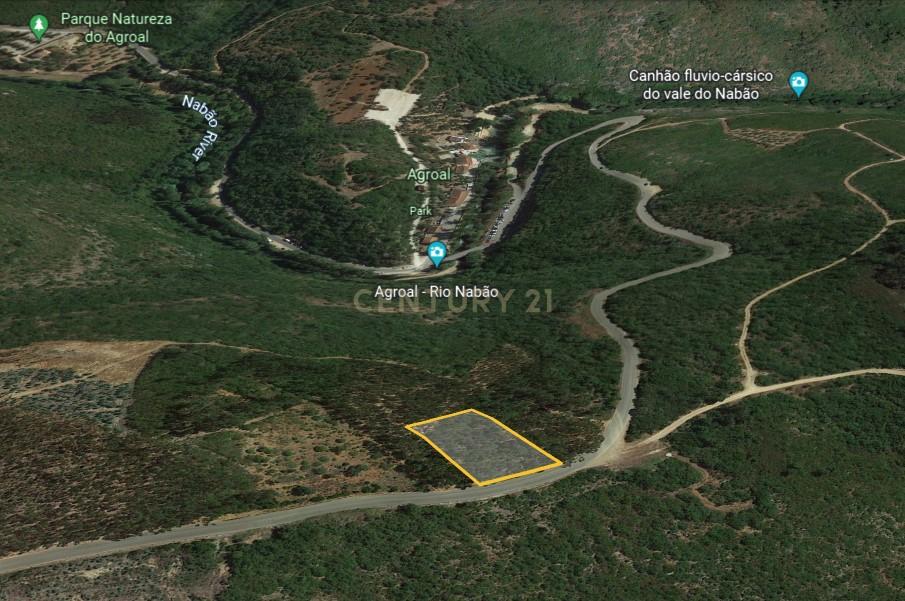 Terreno Agrícola- Tomar - 2700m2 - Image 2