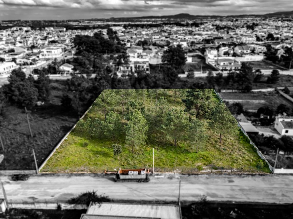 Terreno com Potencial para Loteamento em Fernão Ferro – Oportunidade Única! - Image 1