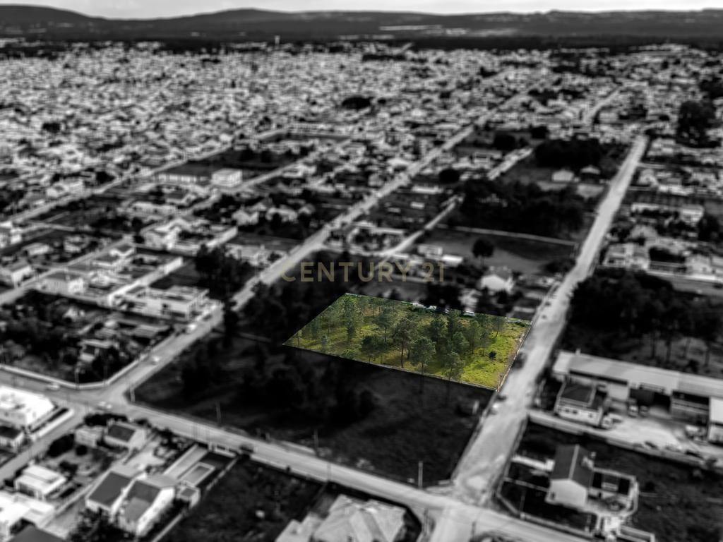 Terreno com Potencial para Loteamento em Fernão Ferro – Oportunidade Única! - Image 2
