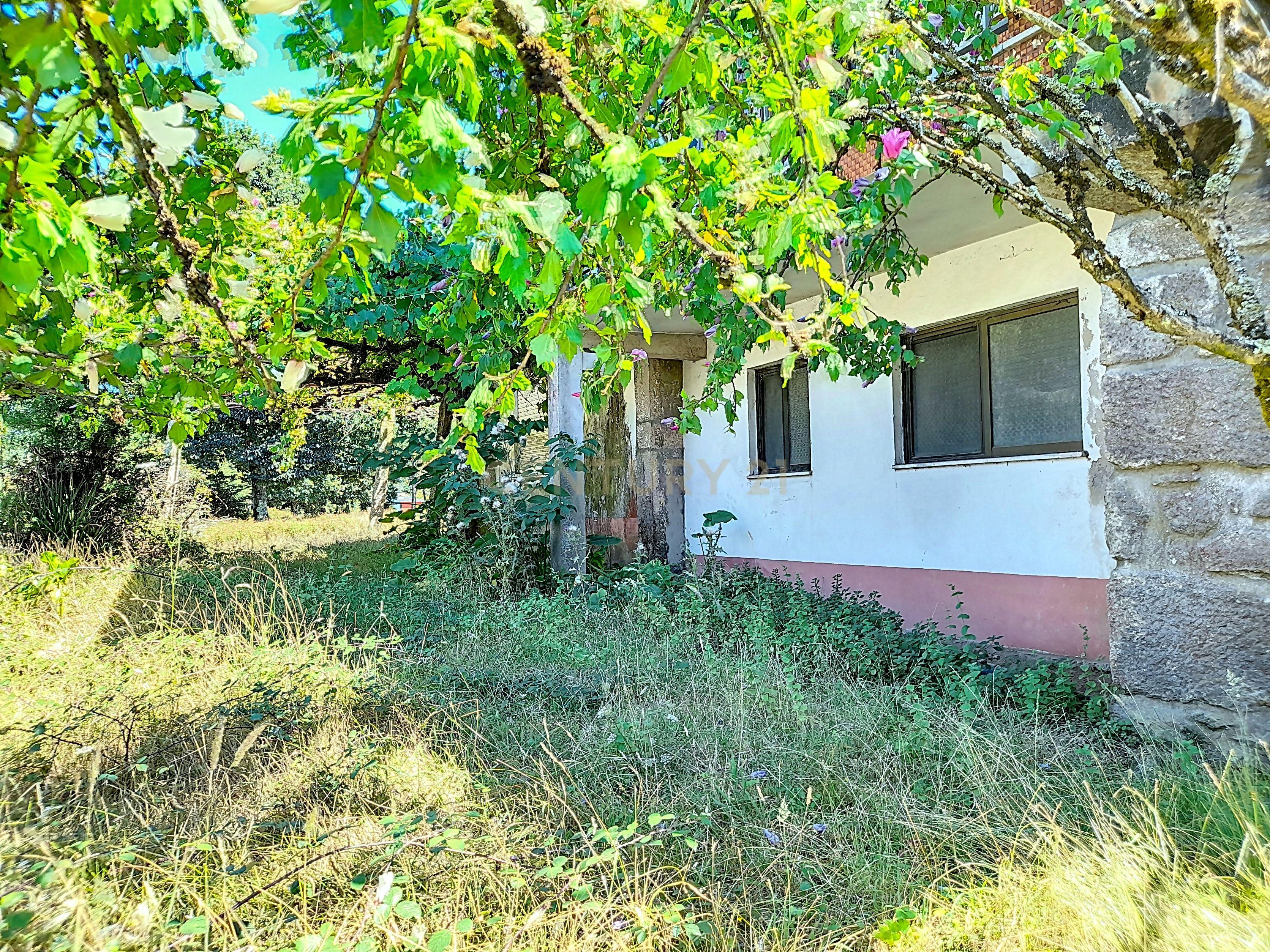 Magnifica Quintinha no Cerdal - Image 8