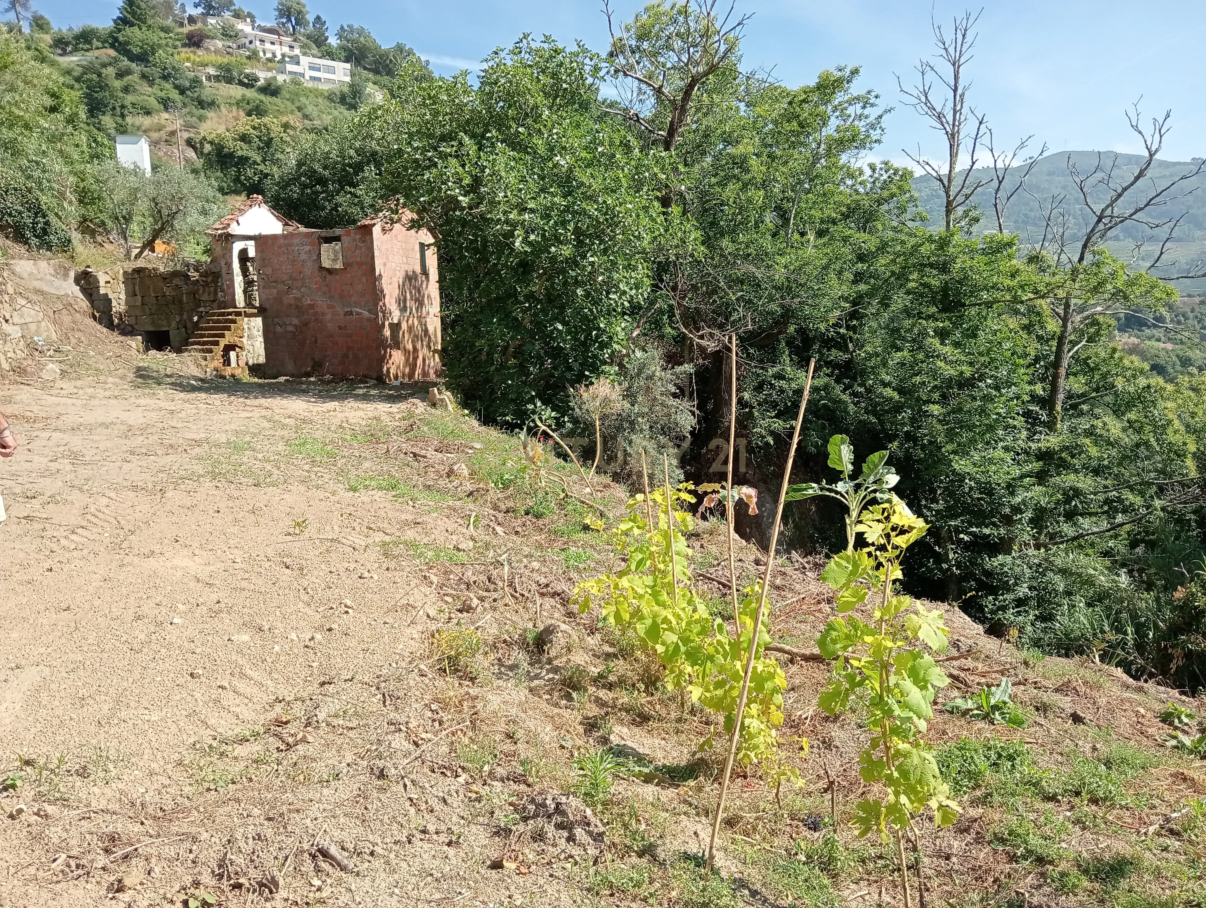 Moradia T2 à venda em Frende, Baião — foto 4