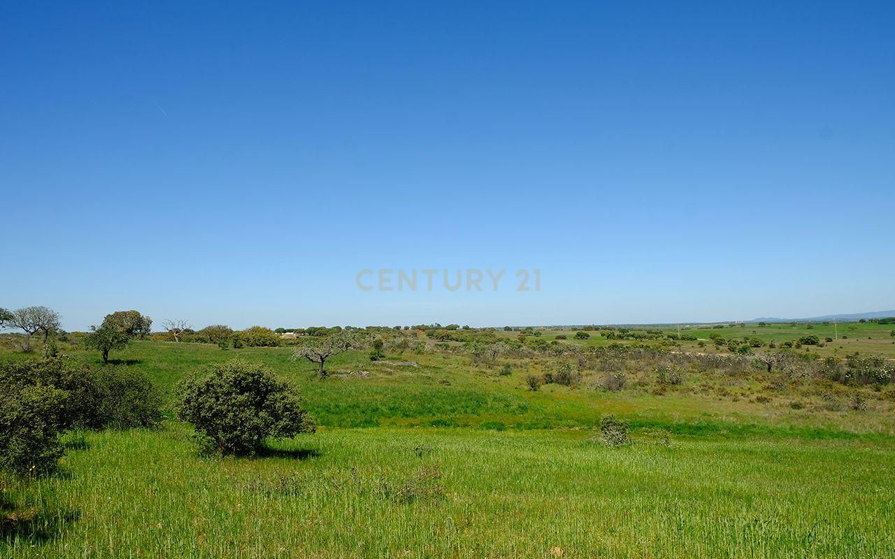 Fotografia 11 de Terreno Misto em Monsaraz, Reguengos de Monsaraz