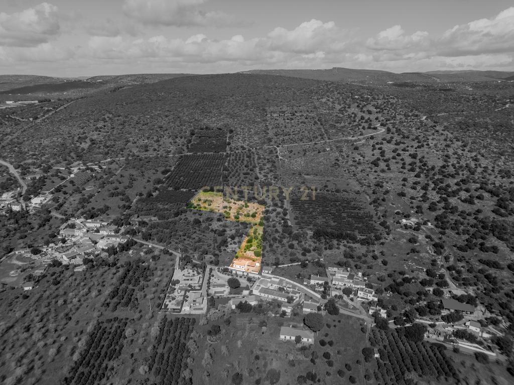 Quinta encantadora com potencial de expansão perto de Albufeira - Image 36