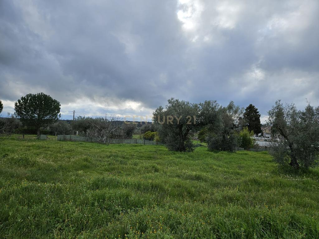 Quintinha na Lousa, Castelo Branco - Image 19