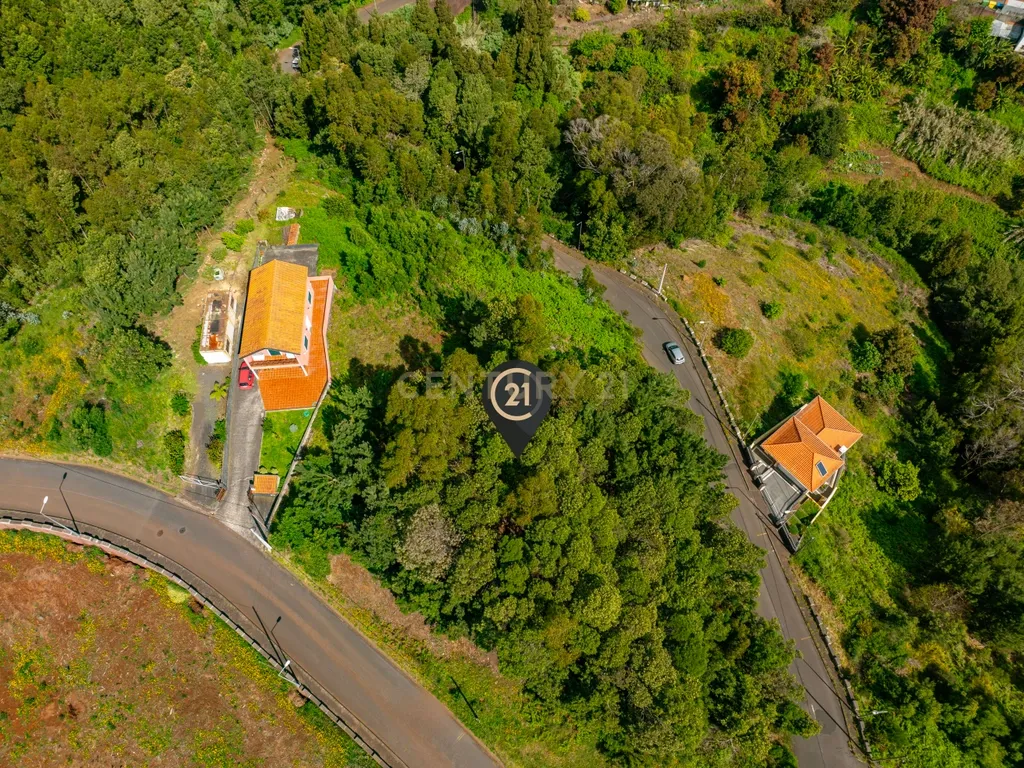 Terreno com Potencial em Zona Verde e Tranquila de Gaula - Image 7