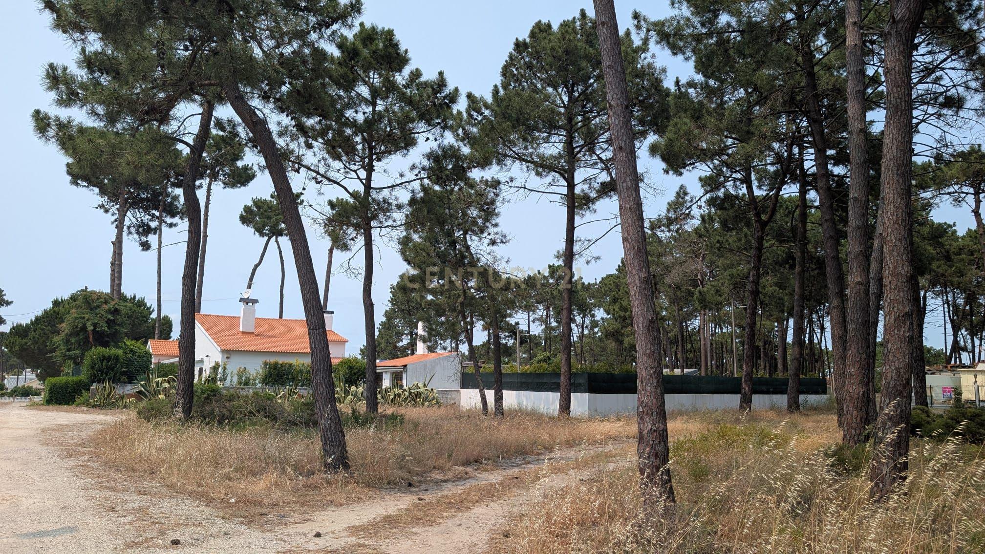 Terreno rústico 526m2 Aroeira - Image 11