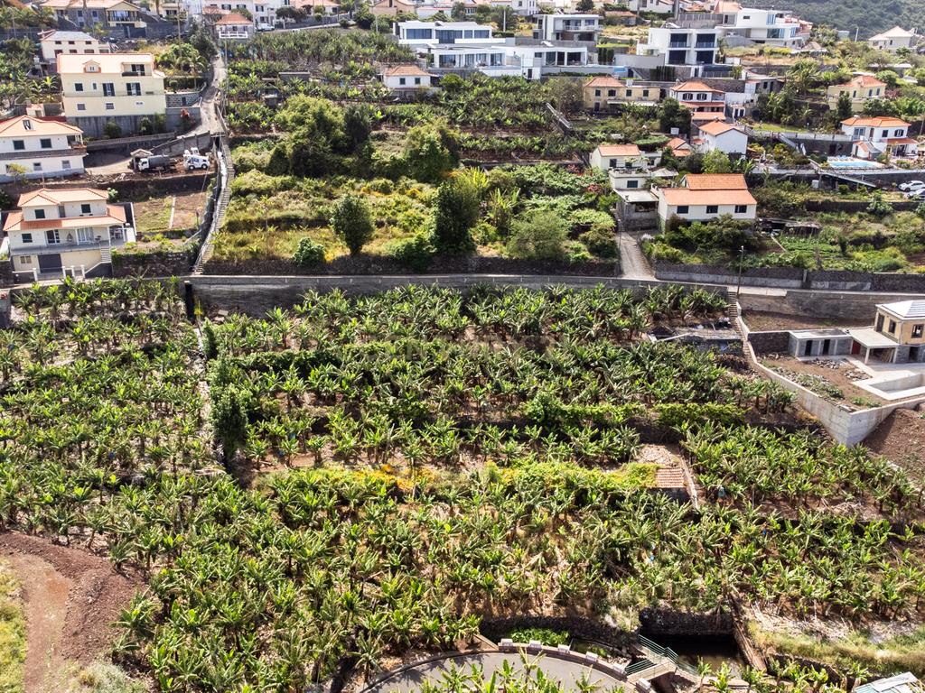 Terreno para construção 1946m2 - Arco da Calheta - Image 18
