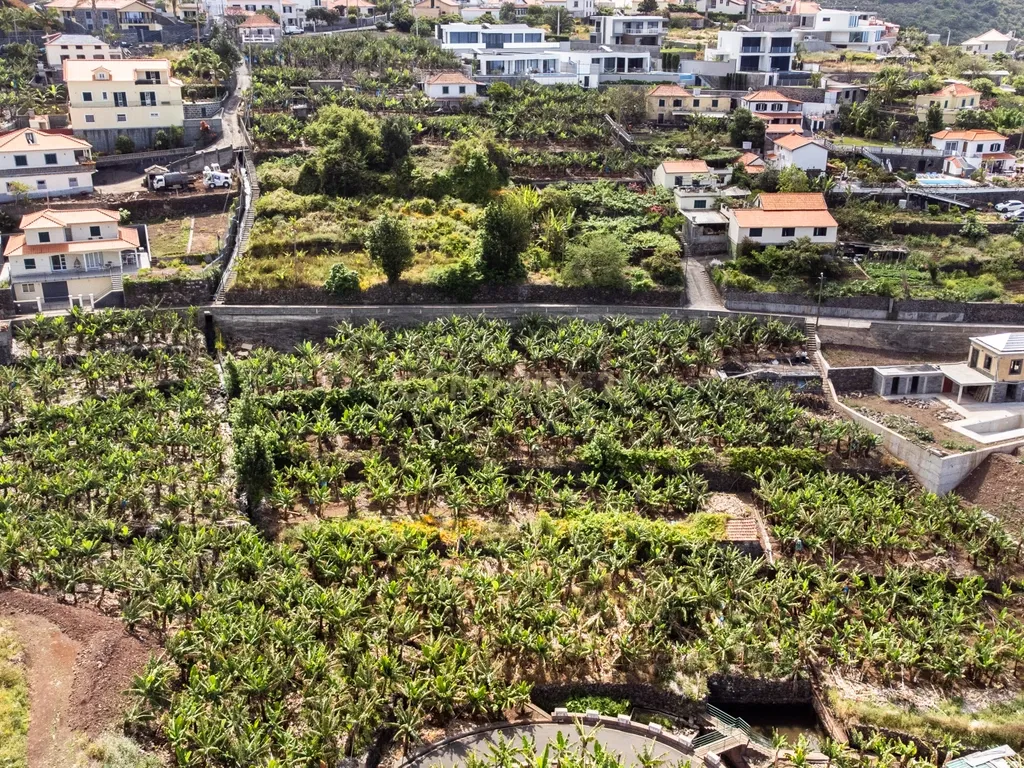 Terreno para construção 1946m2 - Arco da Calheta - Image 18