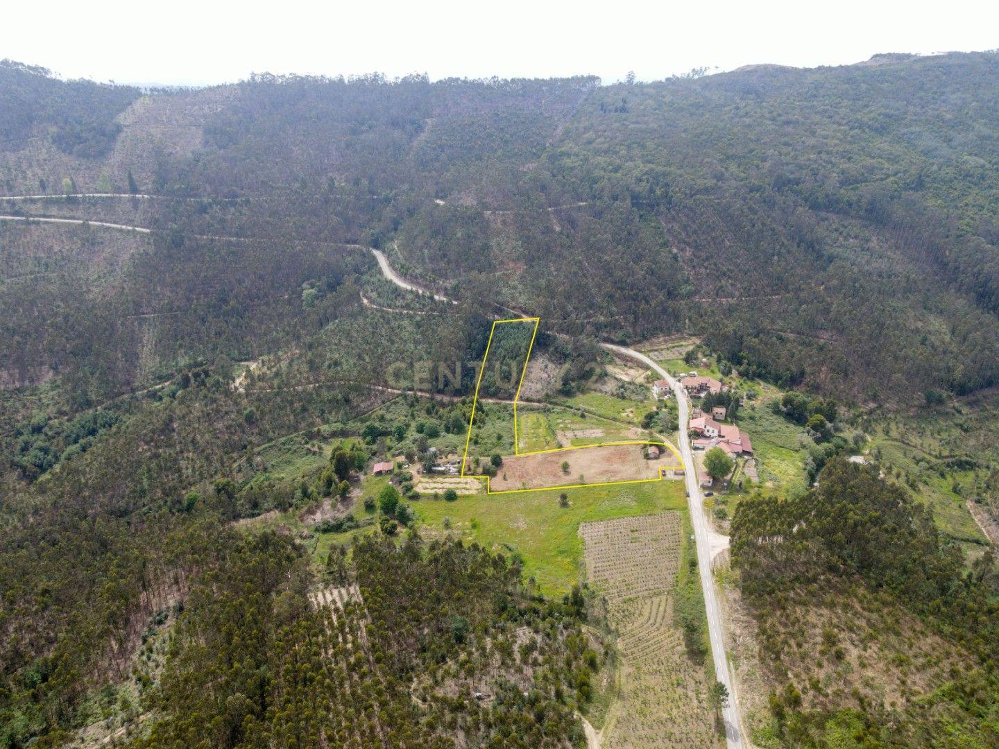 Fotografia 2 de Terreno com furo de água e duas pequenas edificações em ruina para reabilitar