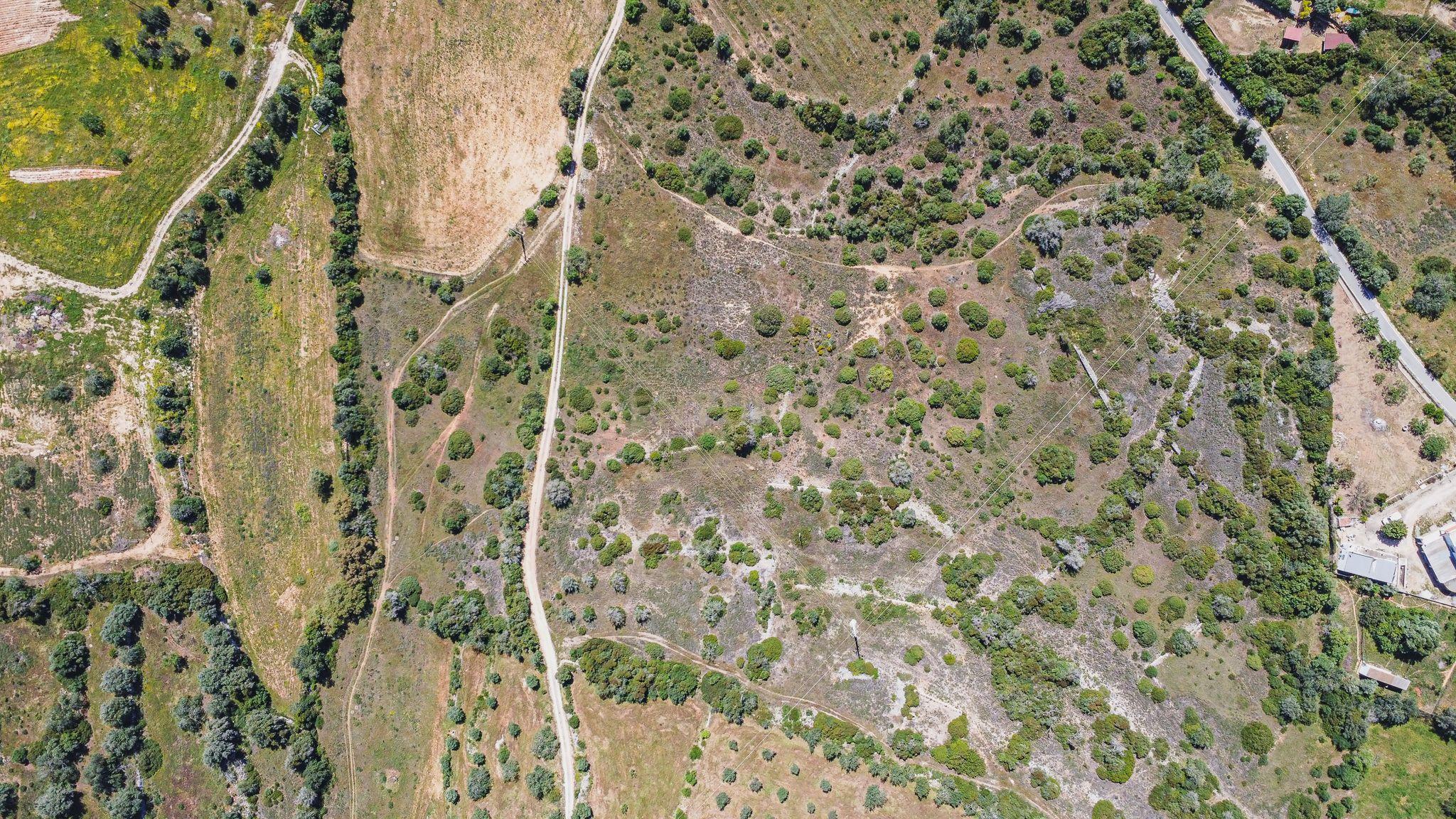 Fotografia 7 de Terreno rústico com 15.830 m² localizado na prestigiada zona da Torre, em Armação de Pêra.