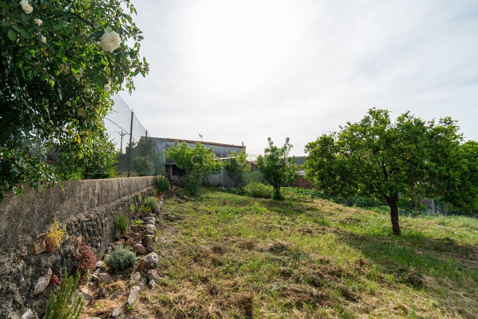 Fotografia 12 de Moradia p/reconstrução com terreno no Forcado – Vila Nova de Poiares
