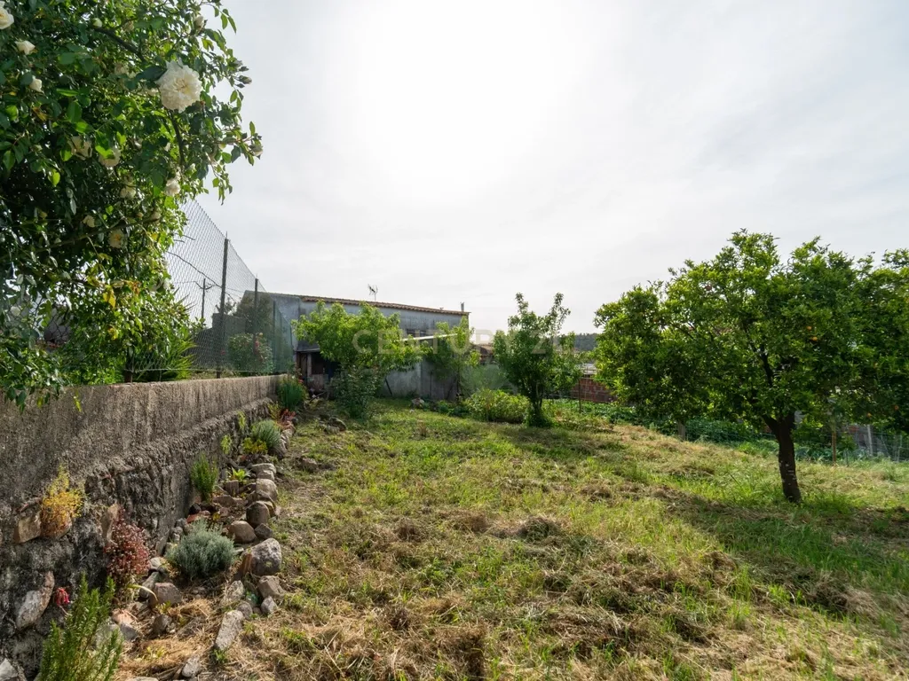 Moradia p/reconstrução com terreno no Forcado – Vila Nova de Poiares - Image 12
