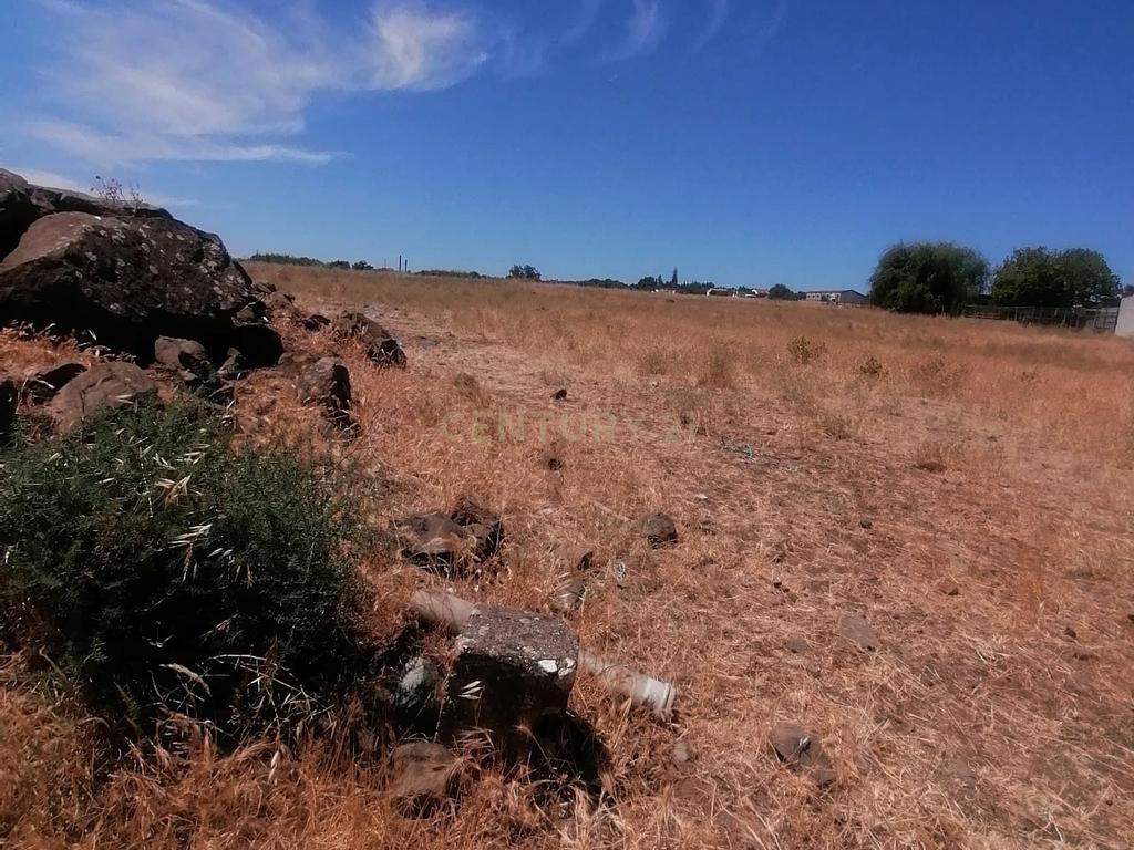 Beja, 2040,150 m2 de Armazéns Diversos instalados em 7190,690 m2 de terrenos Urbanos e ainda 2,5 hectares de terrenos Rústicos - Image 26