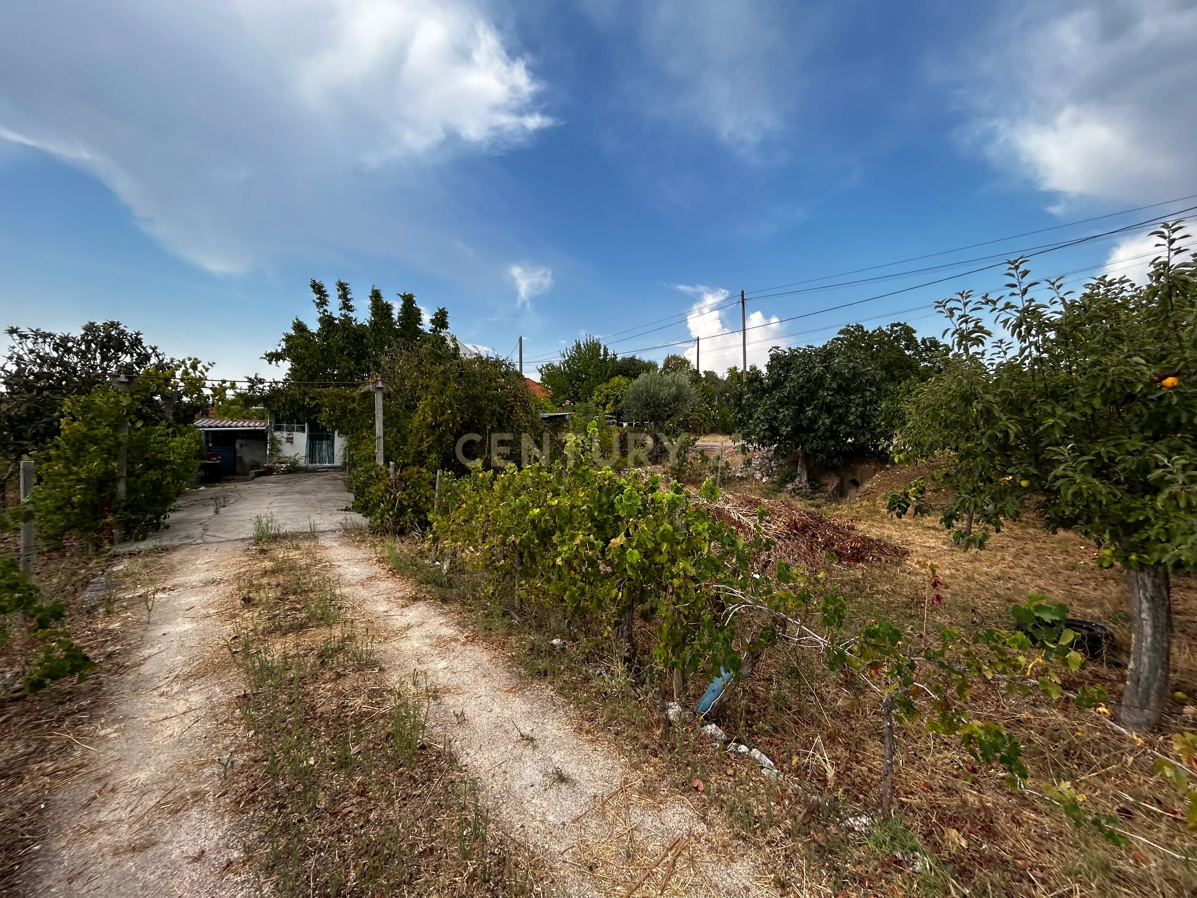 Fotografia 9 de Moradia em Tomar, Santarém - Oportunidade Única