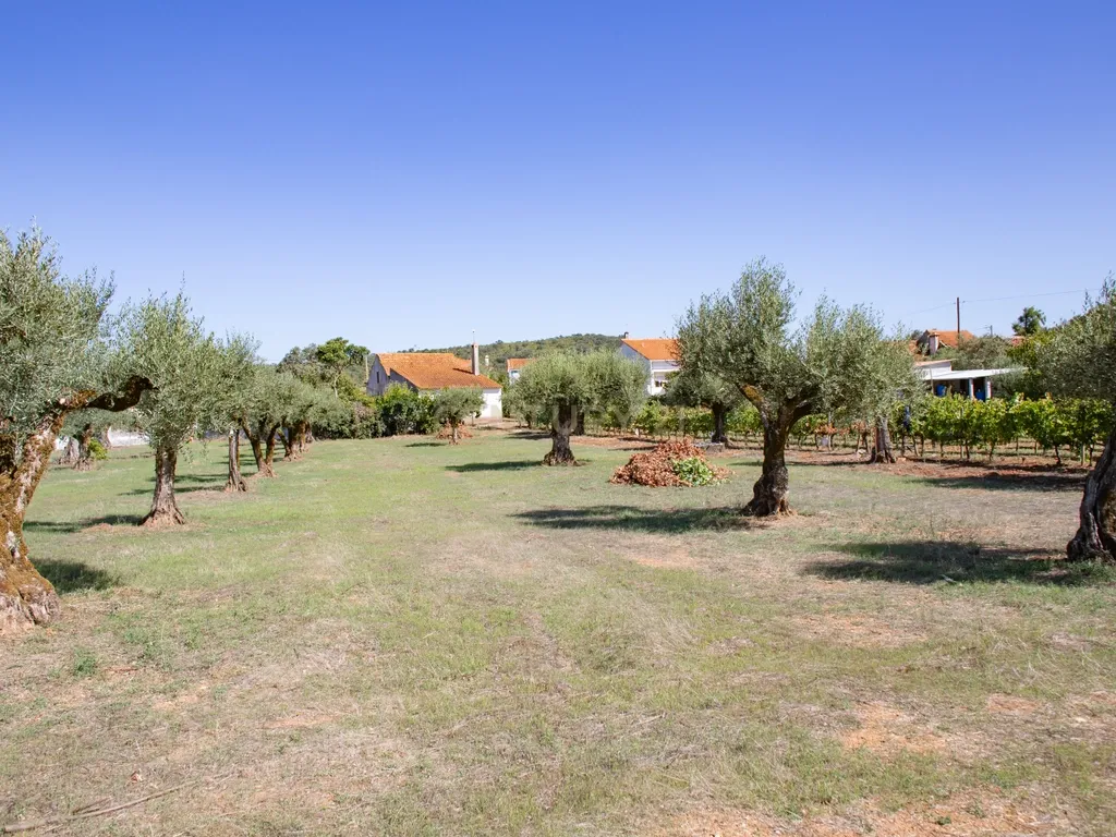 Duas moradias em Avecasta Ferreira do Zêzere - Image 25