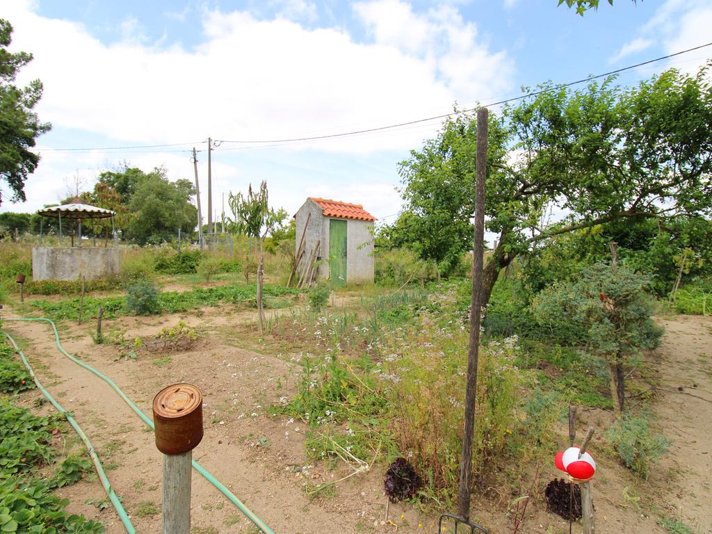Quinta em Palmela - Image 34
