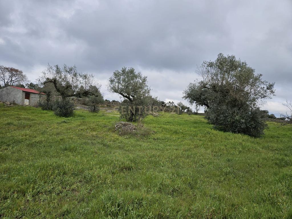 Quintinha na Lousa, Castelo Branco - Image 17