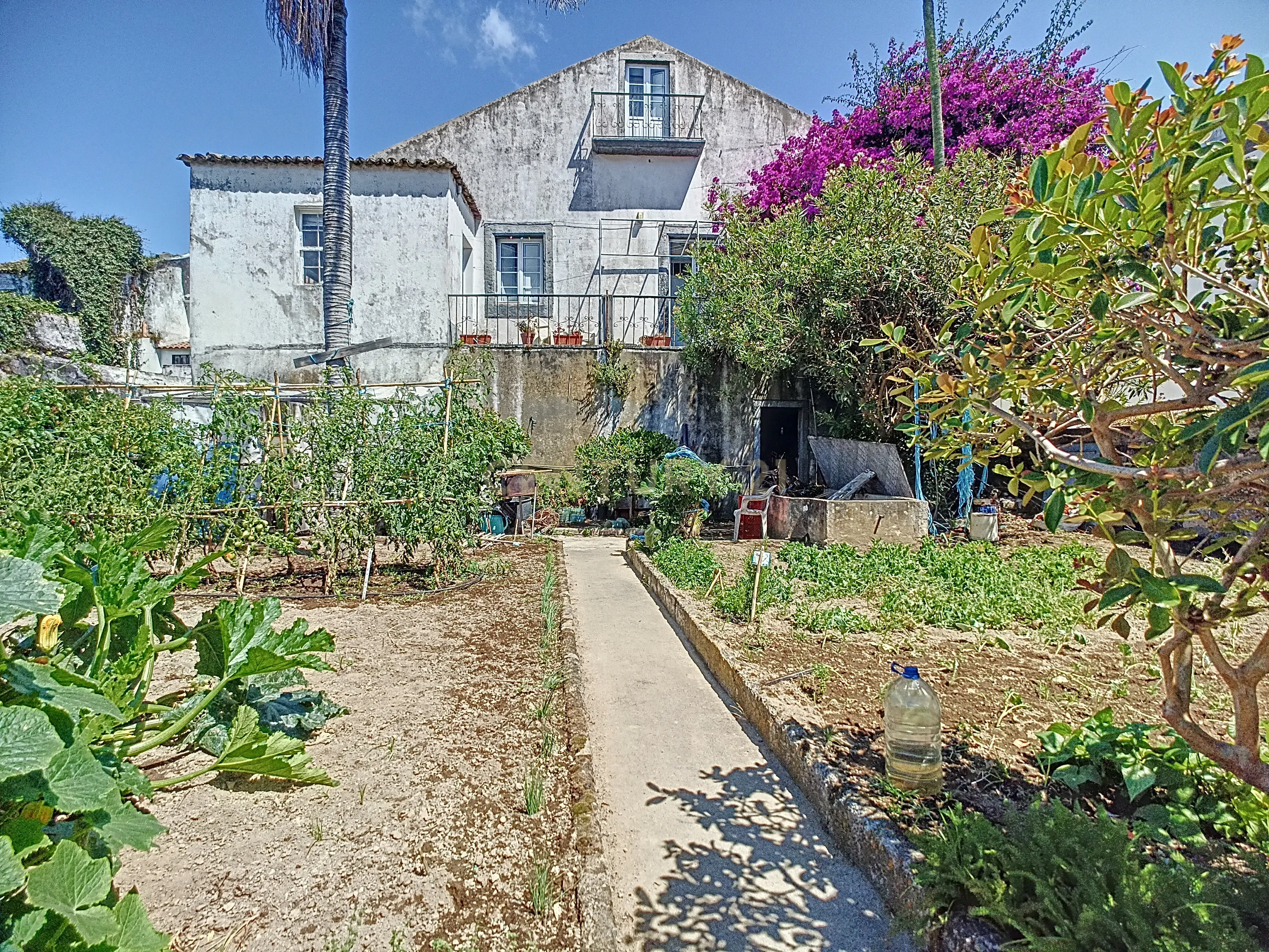 Fotografia 4 de Edifício em Praça Histórica | Vila Franca do Campo