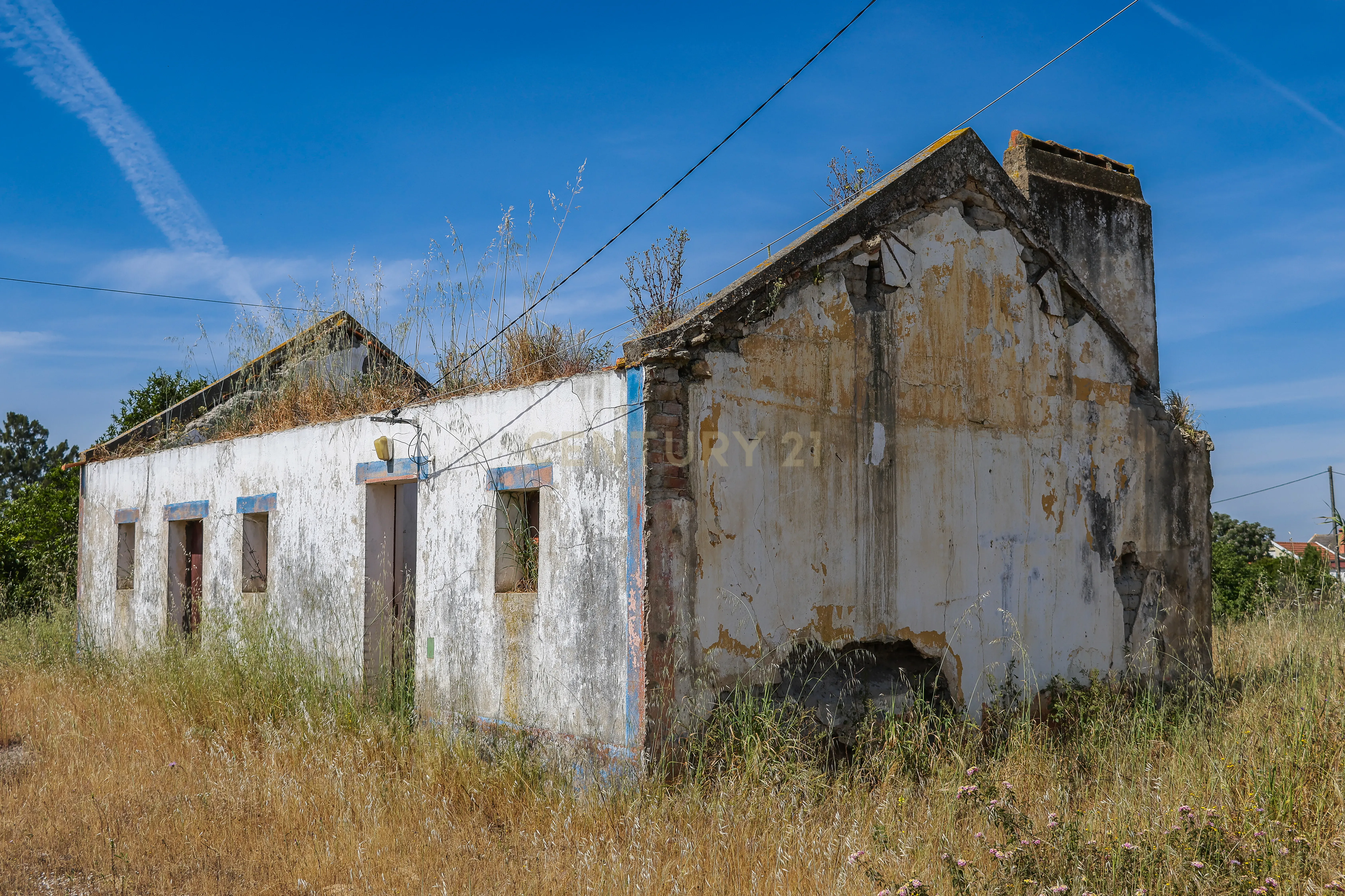 Fotografia 8 de Herdade em Pegões - Foros do Trapo