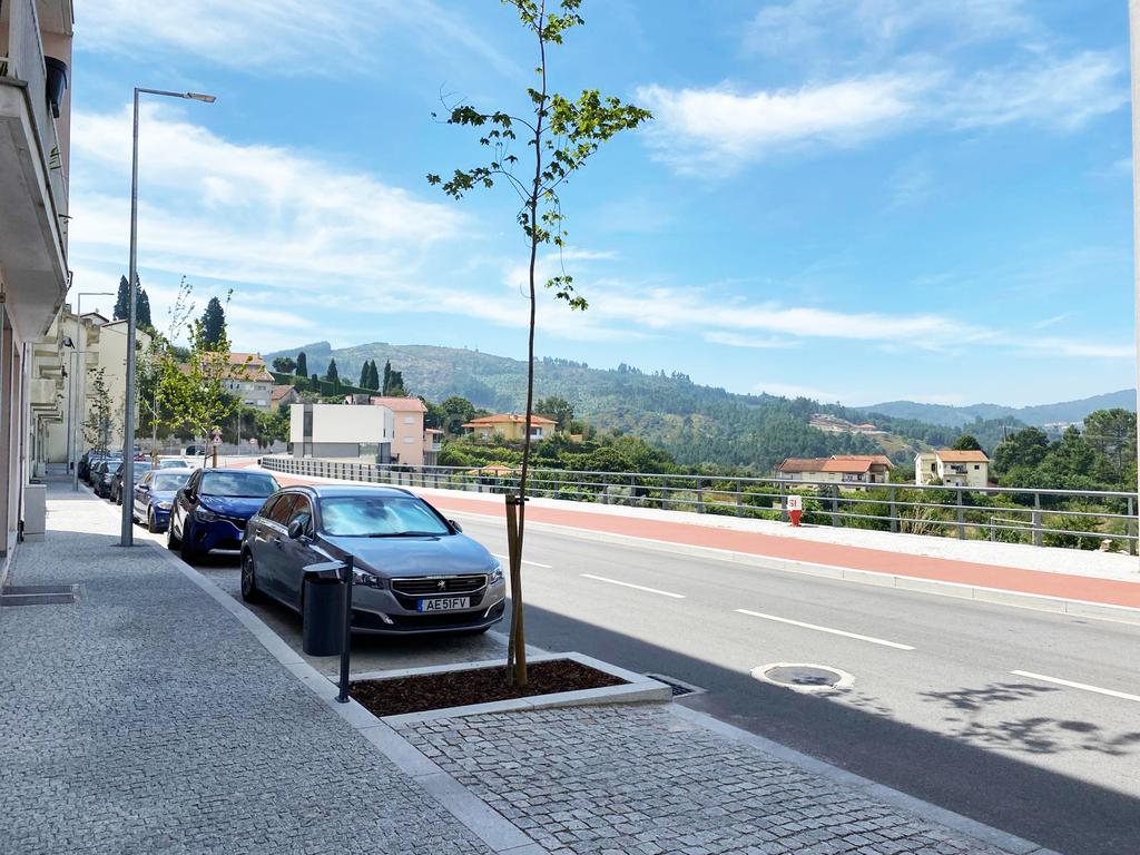 Duas Lojas com Box, em Castro Daire - Oportunidade Única! - Image 13