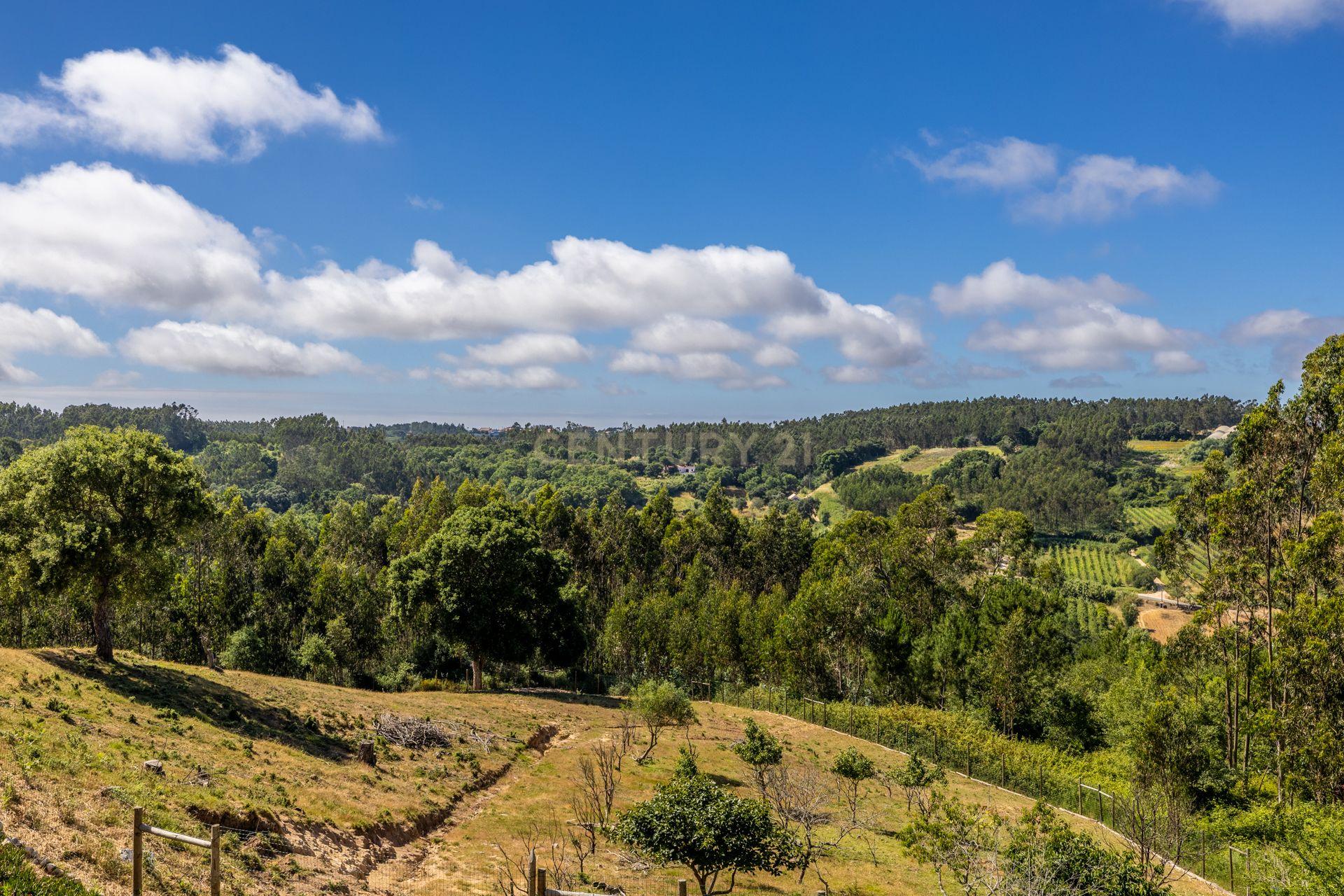 Moradia T6+ à venda em Carvalhal Benfeito, Caldas da Rainha — foto 26