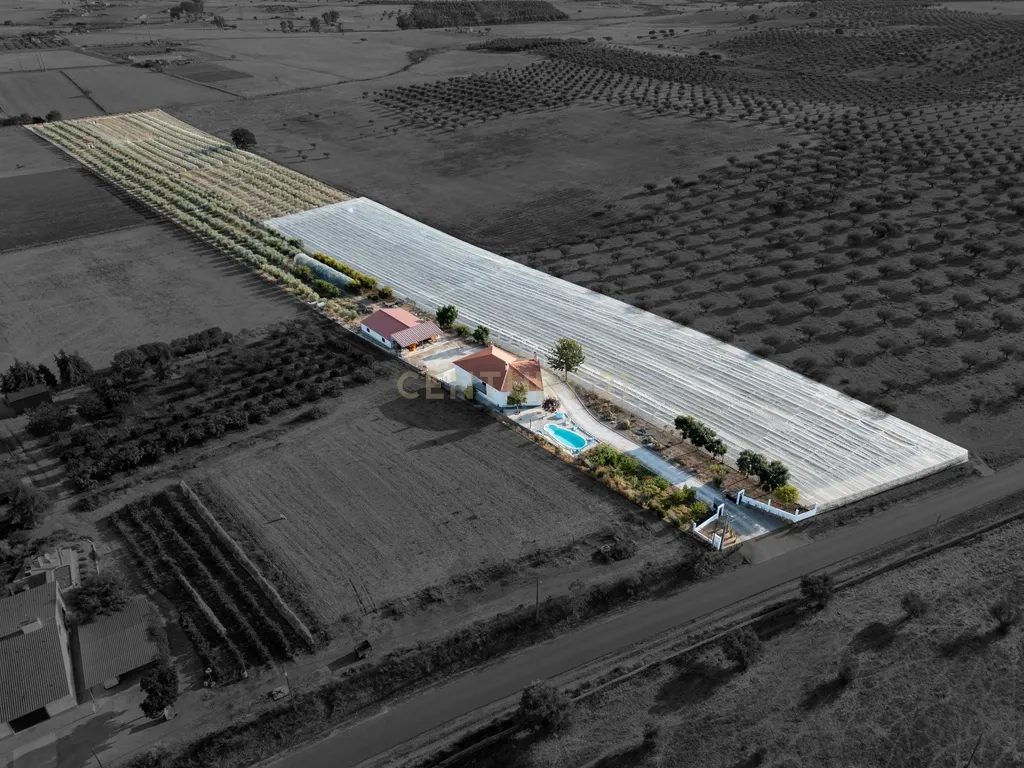 🌿 Quinta com Moradia T4 e Piscina | 3,25 hectares| Olival | Vinha| Amareleja, Alentejo - Image 6