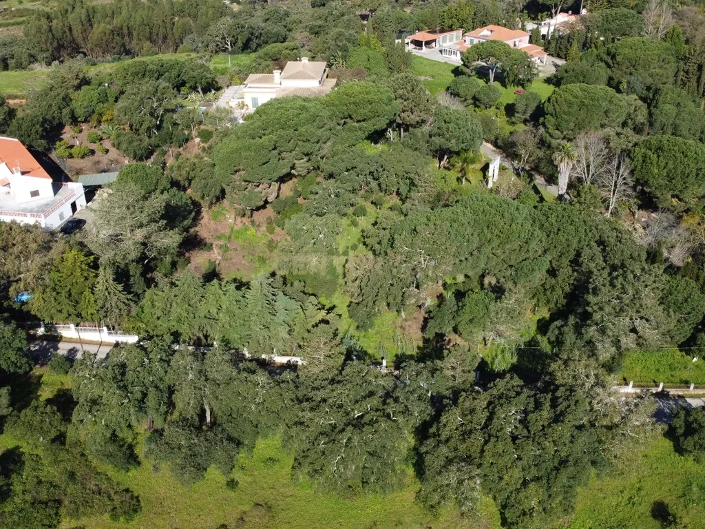 🏡 Terreno para Construção – 2.746 m² | Oportunidade Única Perto de Setúbal! 🌿 - Image 29