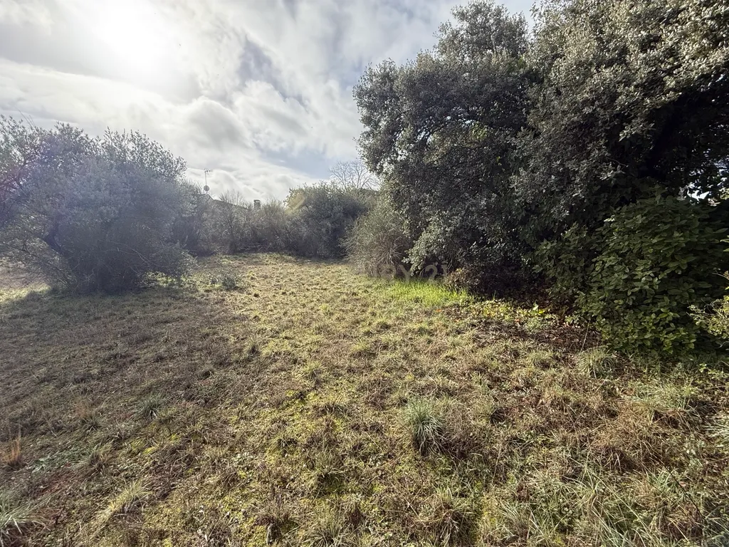Terreno Urbano em Villar del Olmo, Madrid - 1464m² - Image 4