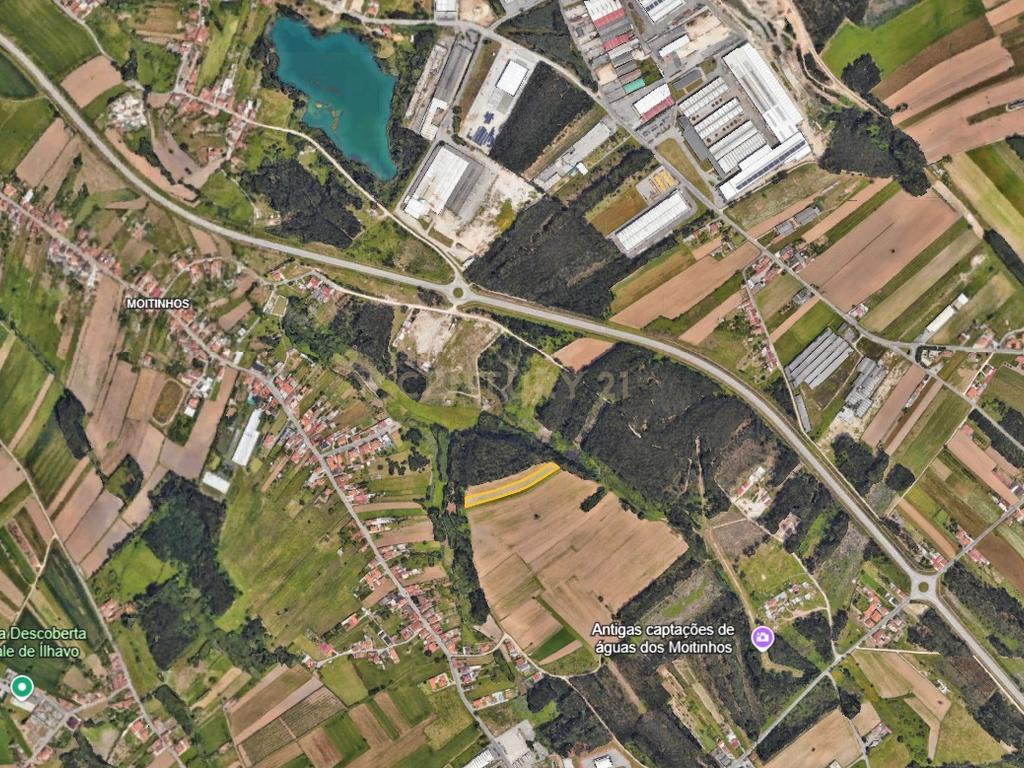 Terreno Agrícola em Ílhavo com Vista Campestre - Image 3