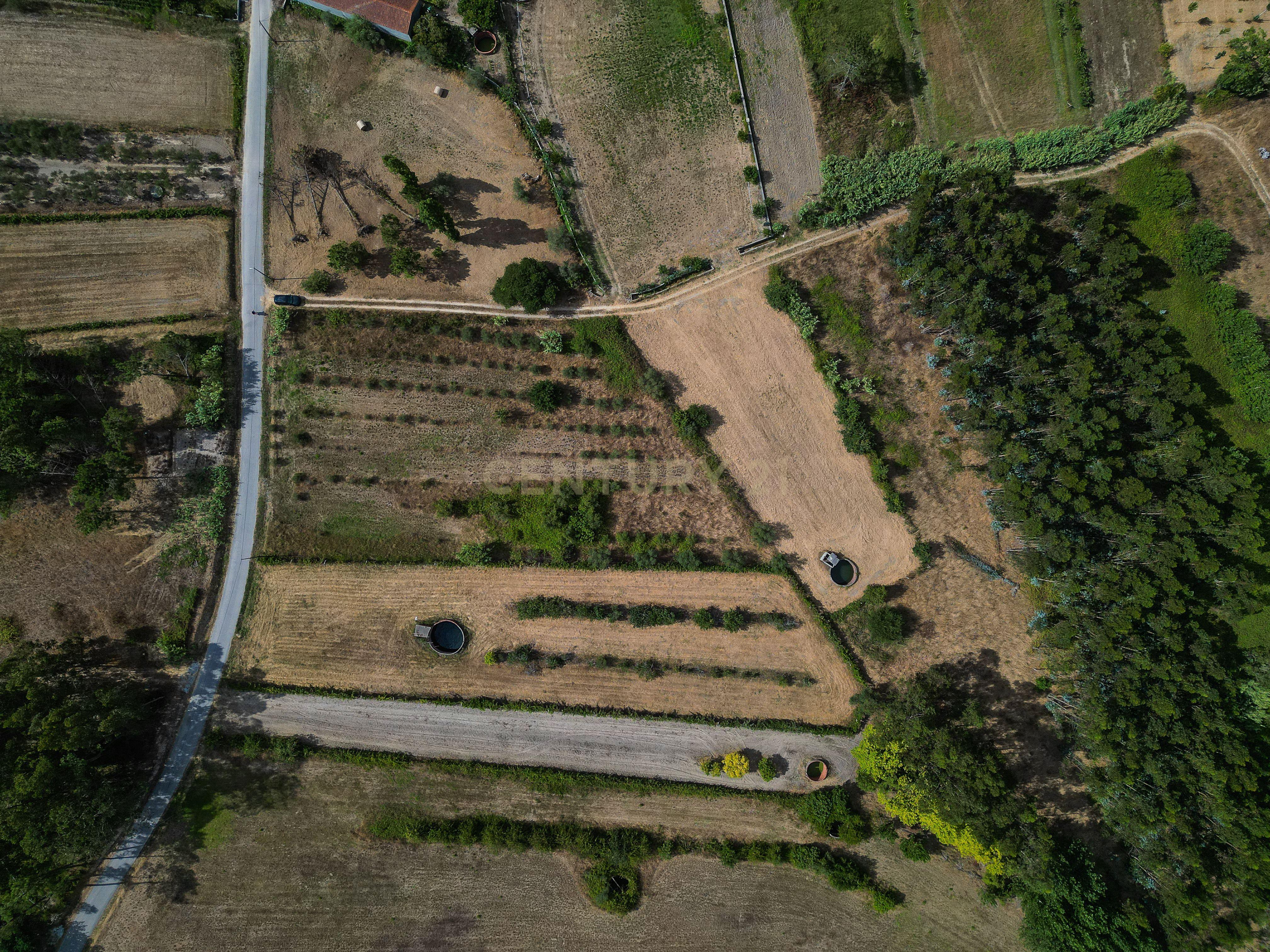 Fotografia 3 de Terreno de cultivo com poço em Cabeça Alta – Seixo de Gatões, Montemor-o-Velho