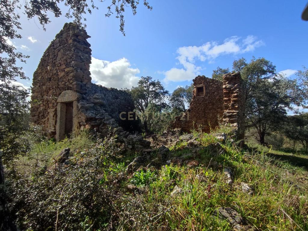 Quinta 54ha, Escalos de Baixo, Castelo Branco - Image 21
