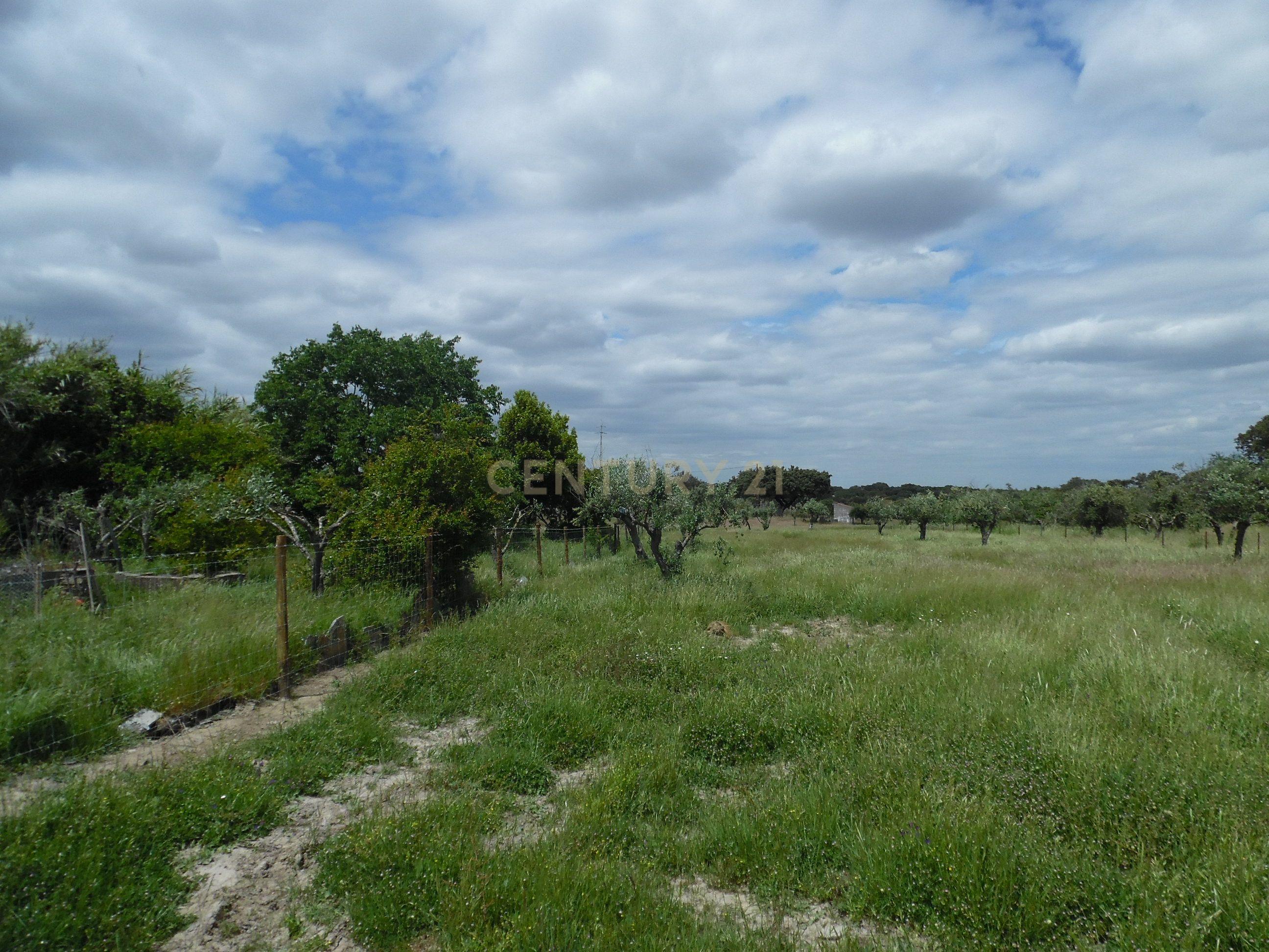 Moradia T3 à venda em Capelins (Santo António), Alandroal — foto 39