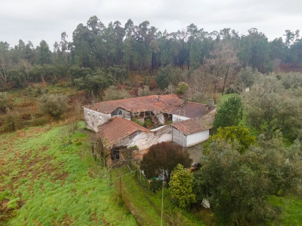 Quinta T5 em Poiares, Vila Nova de Poiares - Oportunidade Única - Image 59