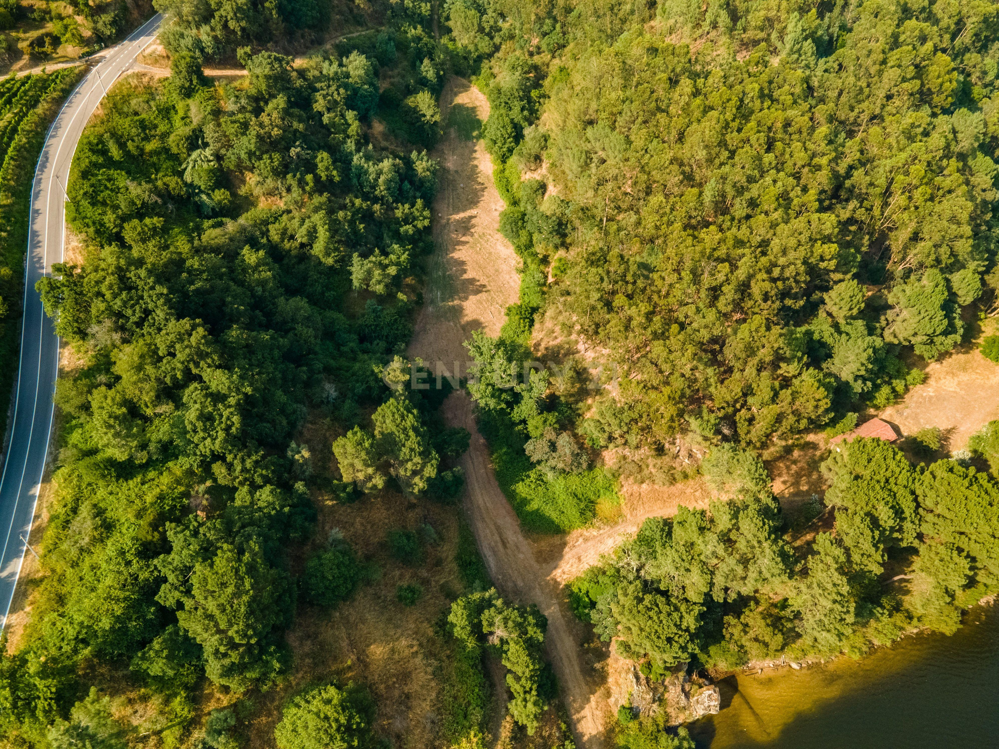 Quinta com Vista Deslumbrante sobre o Rio Douro – Projeto Aprovado para Hotel Rural | Paços de Gaiolo - Image 9