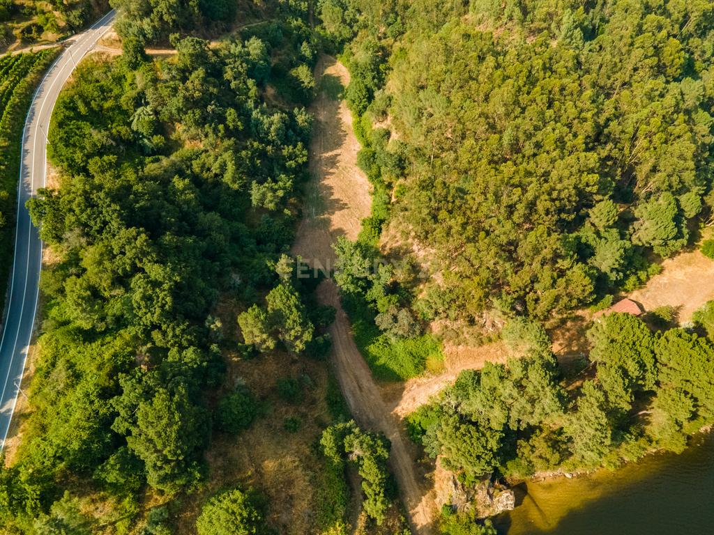 Quinta com Vista Deslumbrante sobre o Rio Douro – Projeto Aprovado para Hotel Rural | Paços de Gaiolo - Image 9