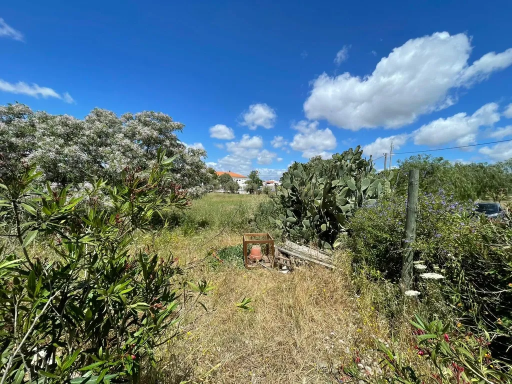 ✨ Terreno com 8.500 m² com 2 Moradia na encantadora Vila da Amareleja – Alentejo ✨ - Image 19